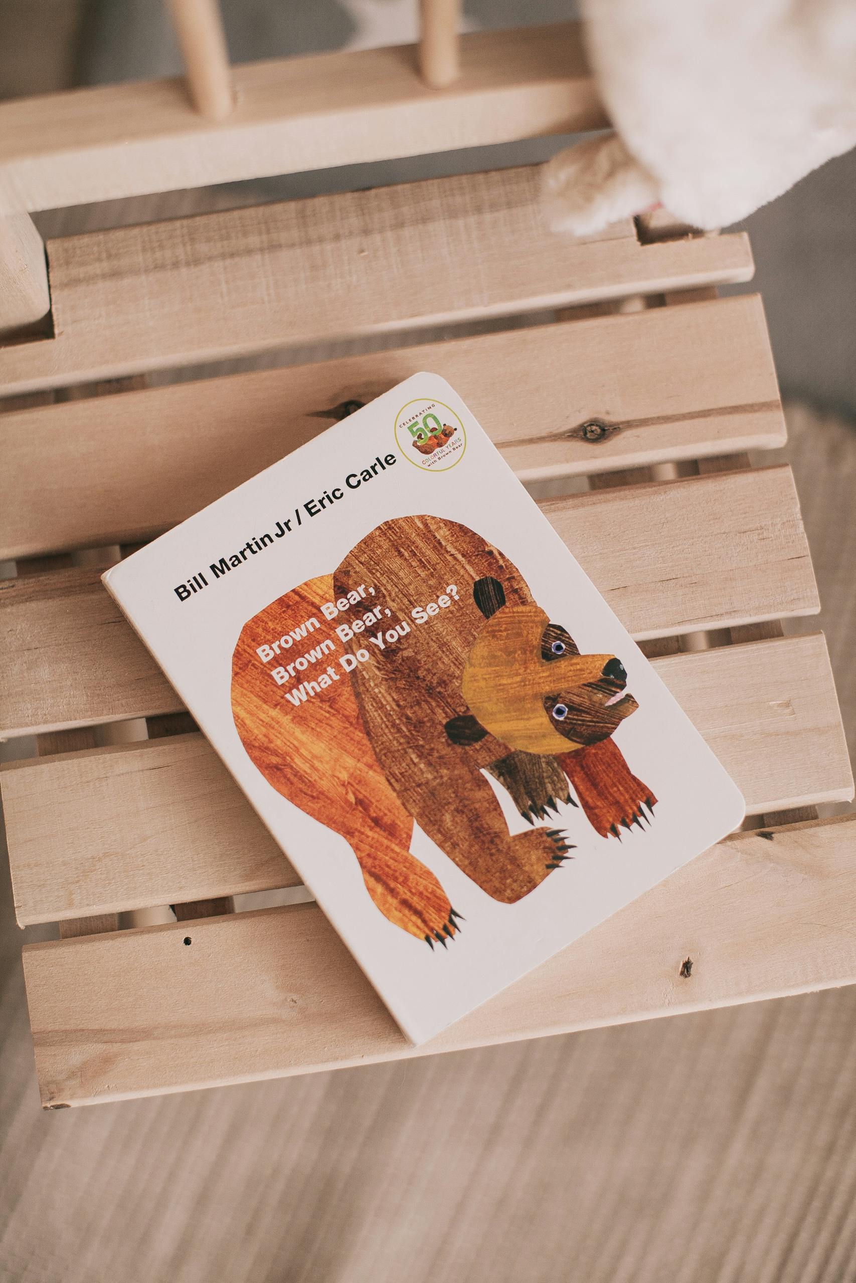 Minimalist still life of children's book 'Brown Bear, Brown Bear' on wooden chair.